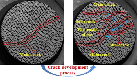 automatically copy crack.